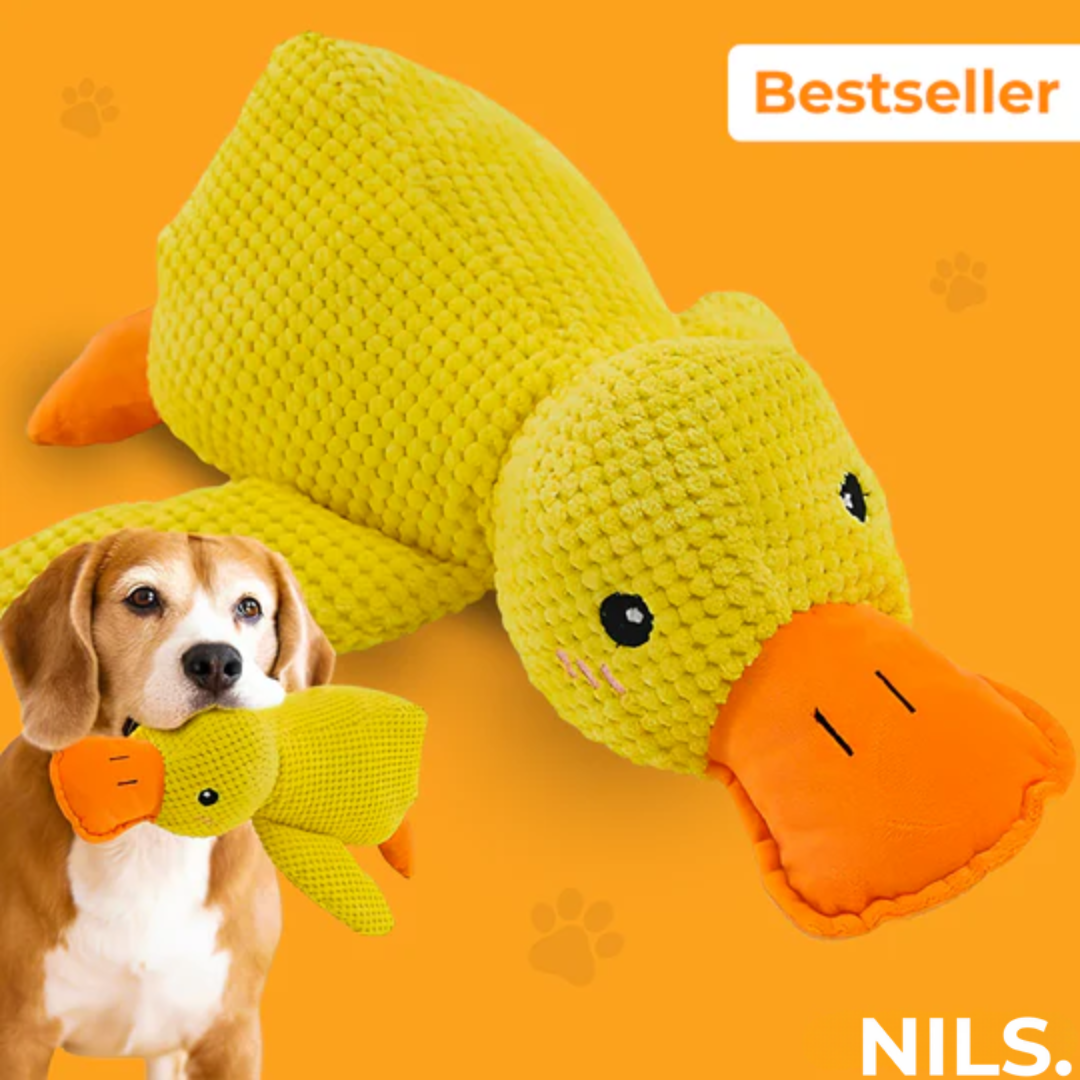 Serenosole™ CalmBuddy Anti-Stress Duck Dog Toy | The ultimate cuddly toy for a stress-free dog | Best stress reliever for dogs 2024