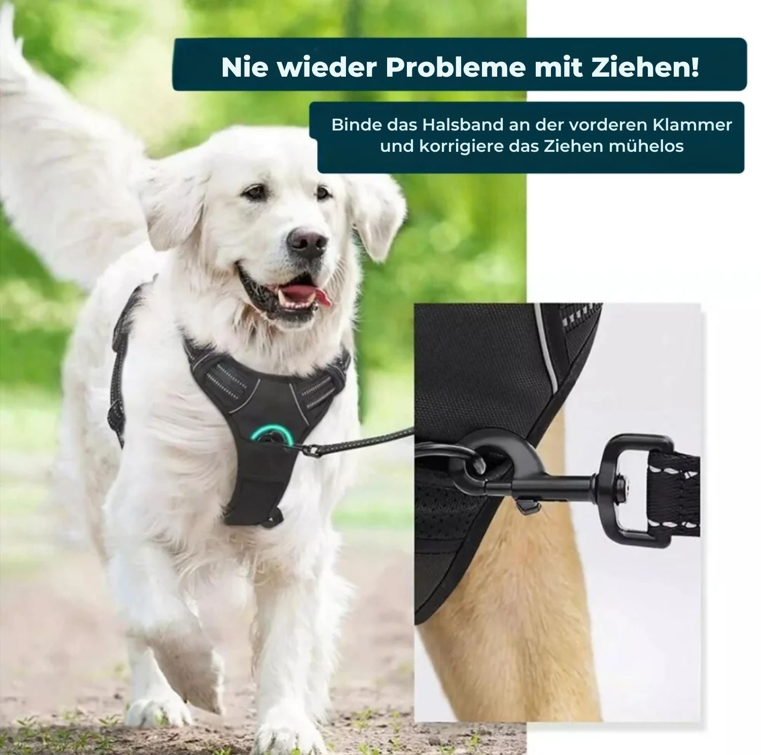 Serenosole™ WalkWise | Stops pulling instantly for stress-free walks | Best walking harness 2025