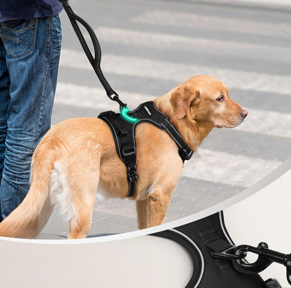 Serenosole™ WalkWise | Stops pulling instantly for stress-free walks | Best walking harness 2025