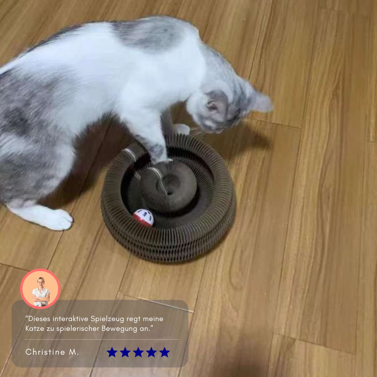 Serenosole™ KittyKraze Cat Toy | Stimulates your cat&