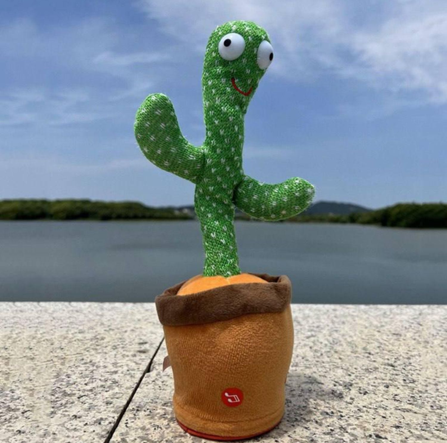 Serenosole™ Hug-a-Cactus Dancing Cactus | Endless laughter with every shake (1+1 FREE)