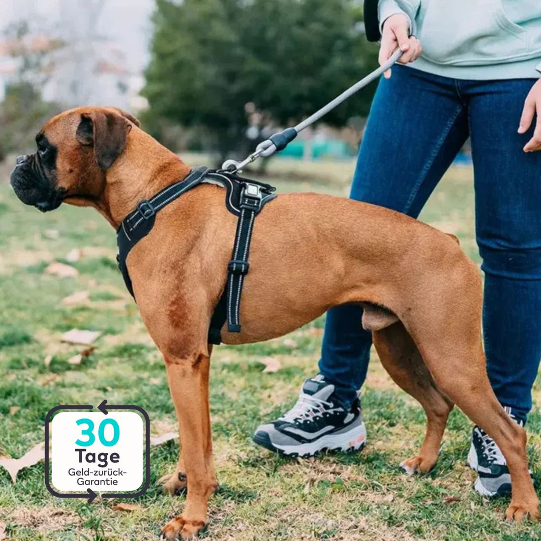 Serenosole™ WalkWise | Stops pulling instantly for stress-free walks | Best walking harness 2025