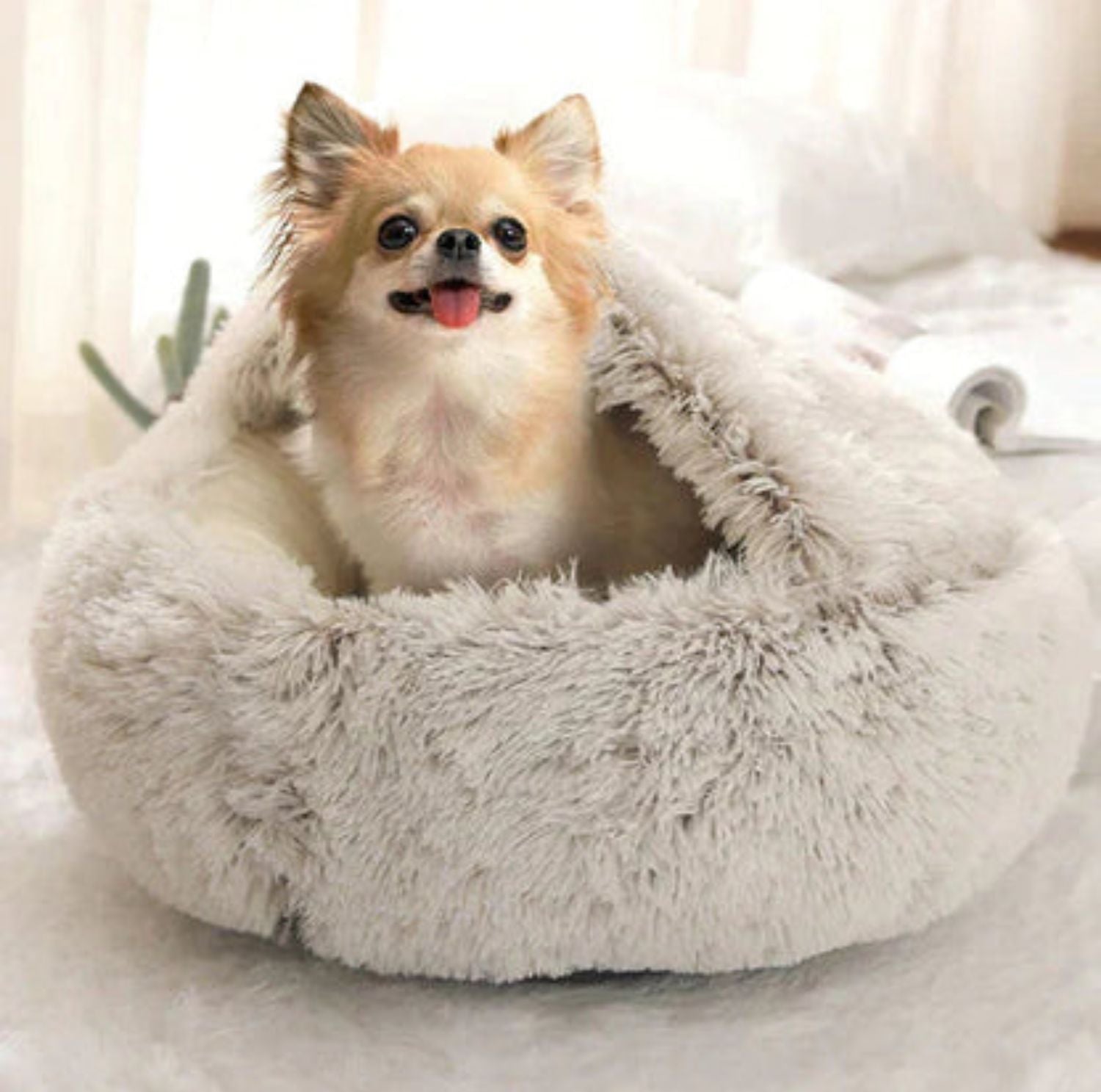 Serenosole™ CuddleCave Dog Bed | Cozy retreat, perfect for your dog | Coziest dog bed 2024