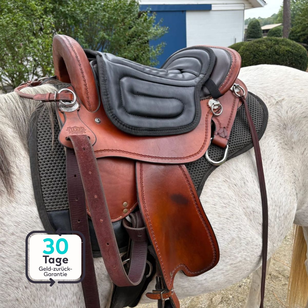 Serenosole™ RideCush Soft Horse Saddle Pad | Long-lasting comfort and support throughout your ride | Ultimate comfort on every ride 2024