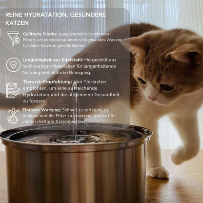 Serenosole™ AquaCat | Keep your cat hydrated and healthy | Smartest Hydration 2024