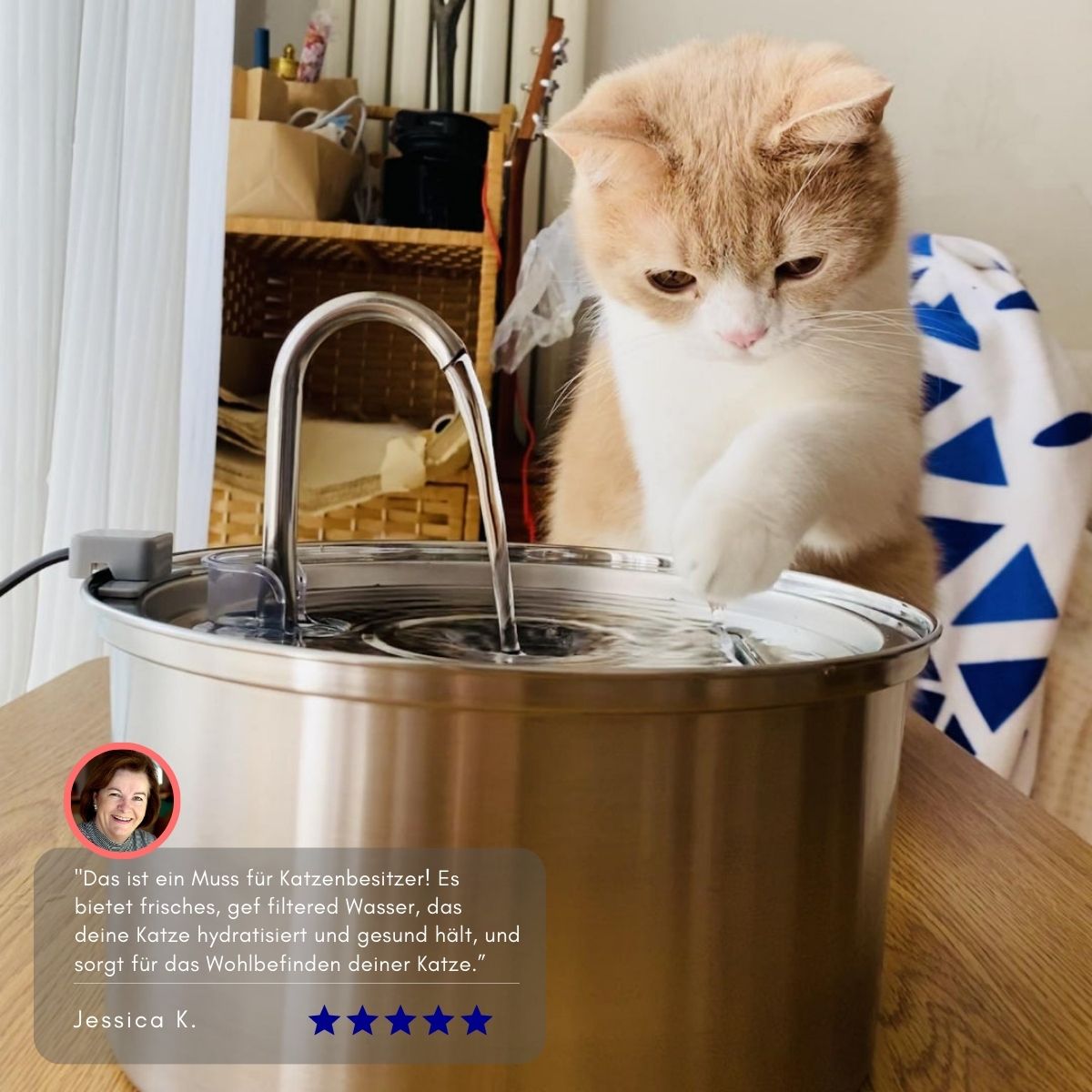 Serenosole™ AquaCat | Keep your cat hydrated and healthy | Smartest Hydration 2024