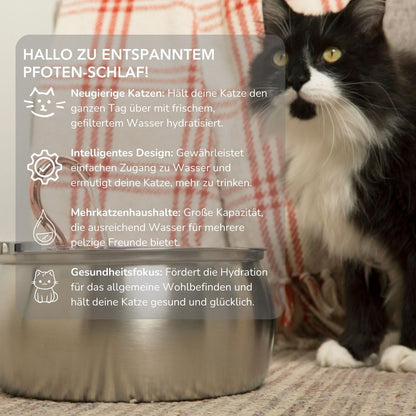 Serenosole™ AquaCat | Keep your cat hydrated and healthy | Smartest Hydration 2024