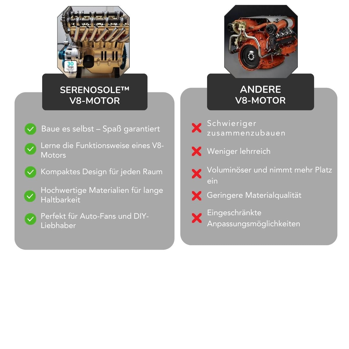 Serenosole™ EngineCrafter V8 Engine | Build, learn and start your own mini V8 engine