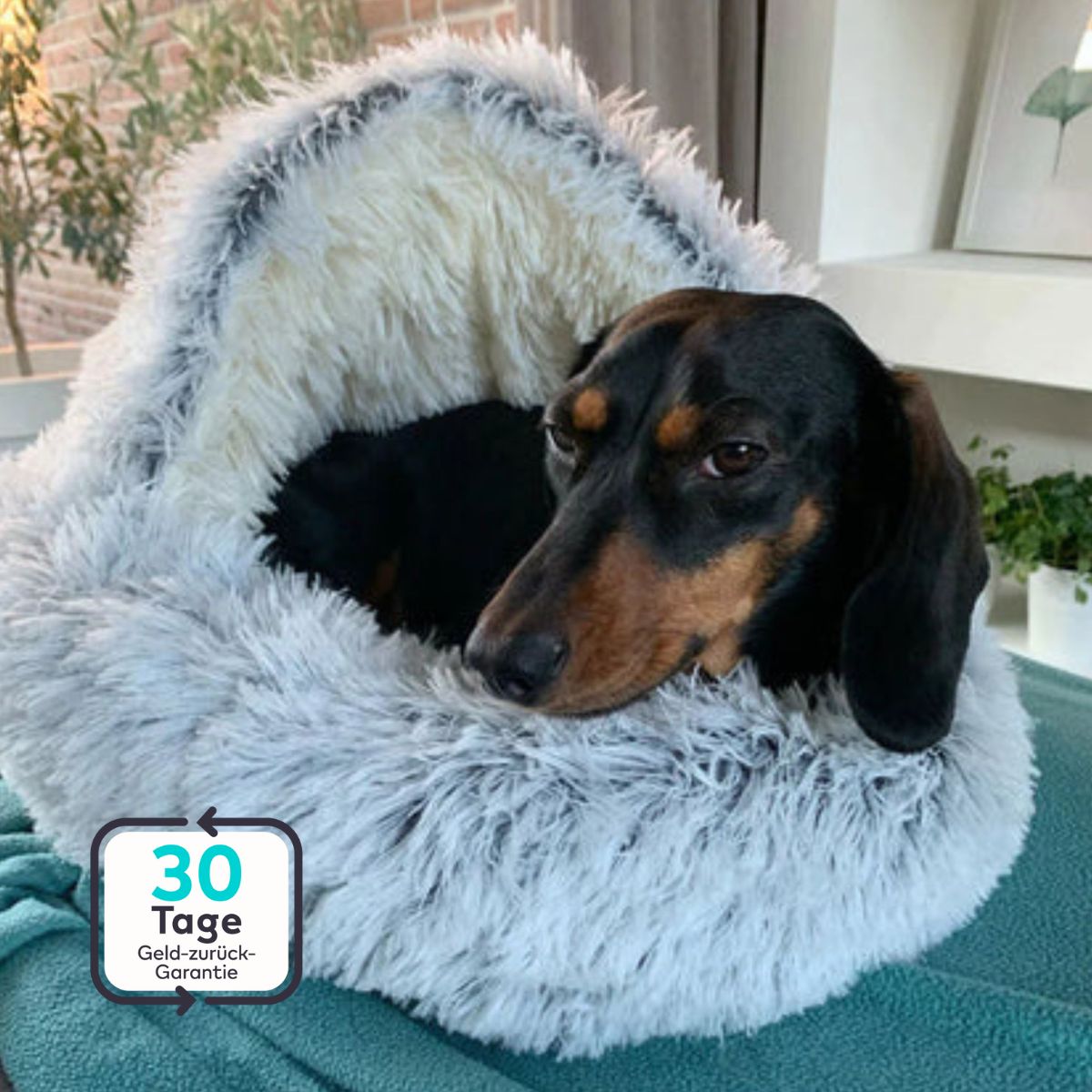 Serenosole™ CuddleCave Dog Bed | Cozy retreat, perfect for your dog | Coziest dog bed 2024