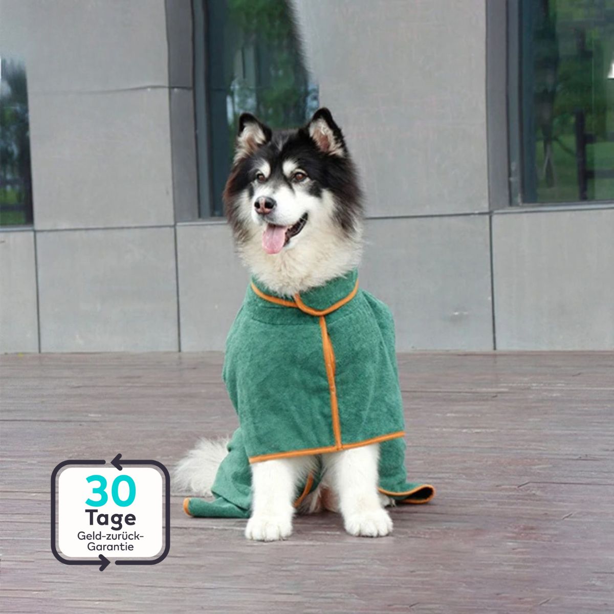 Serenosole™ PupComfort Bathrobe for Dogs | Keeps dogs warm and dry | The best Lsolution for wet dogs 2024